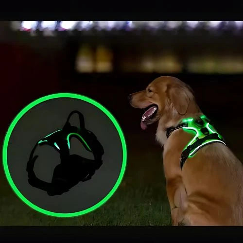 Dog Harness | USB Rechargeable LED & Padded Oxford