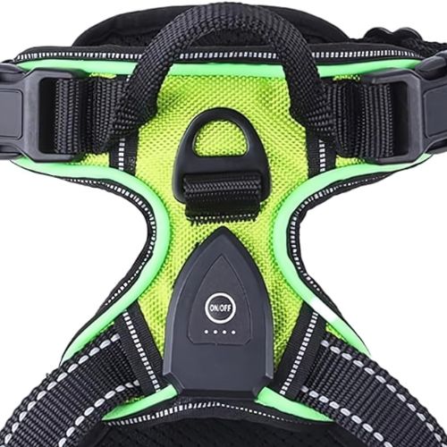 Dog Harness | USB Rechargeable LED & Padded Oxford