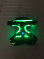 Dog Harness | USB Rechargeable LED & Padded Oxford