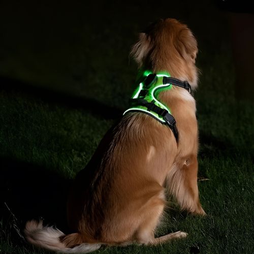 Dog Harness | USB Rechargeable LED & Padded Oxford
