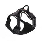 Dog Harness | USB Rechargeable LED & Padded Oxford