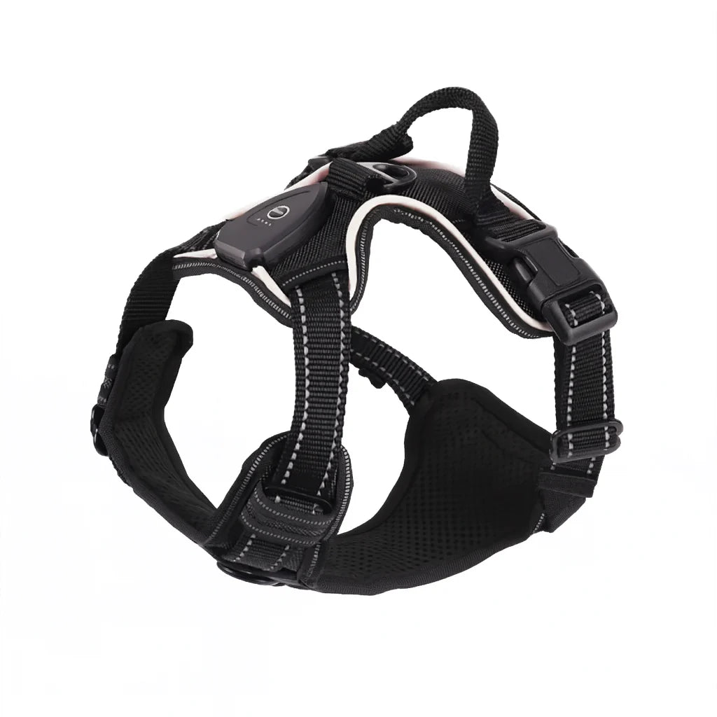 Dog Harness | USB Rechargeable LED & Padded Oxford