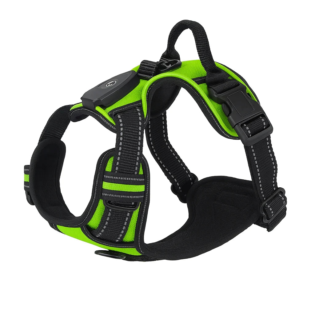 Dog Harness | USB Rechargeable LED & Padded Oxford