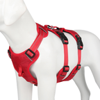 Dog Harness