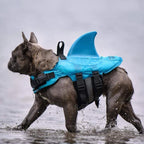 Dog Life Vest | Lightweight Shark-Fin & Grab Handle | For Small & Medium Dogs