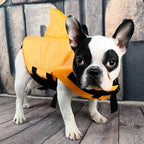Dog Life Vest | Lightweight Shark-Fin & Grab Handle | For Small & Medium Dogs
