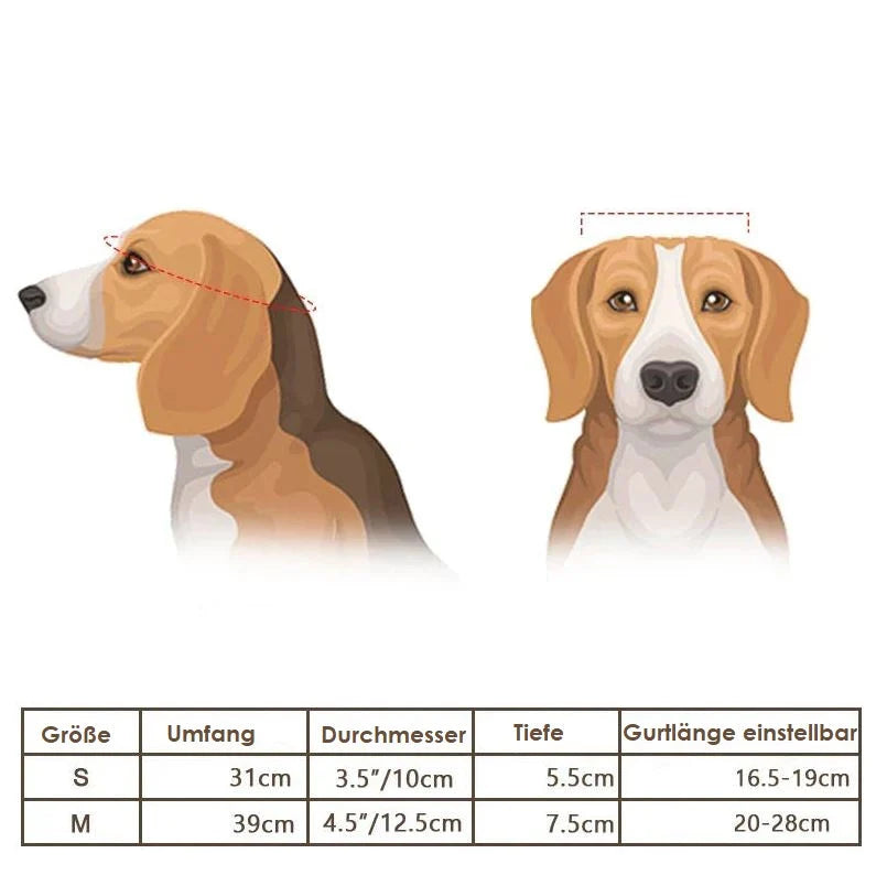 Dog Motorcycle Helmet & Goggles | Adjustable Fit & UV-Protective Lenses