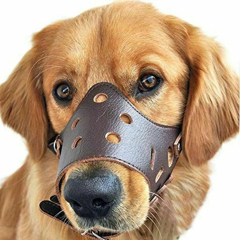 Dog Muzzle | Breathable Mesh & Leather, Adjustable Buckle & Anti-Slip Ring | Sizes S–XL