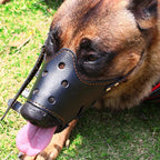 Dog Muzzle | Breathable Mesh & Leather, Adjustable Buckle & Anti-Slip Ring | Sizes S–XL