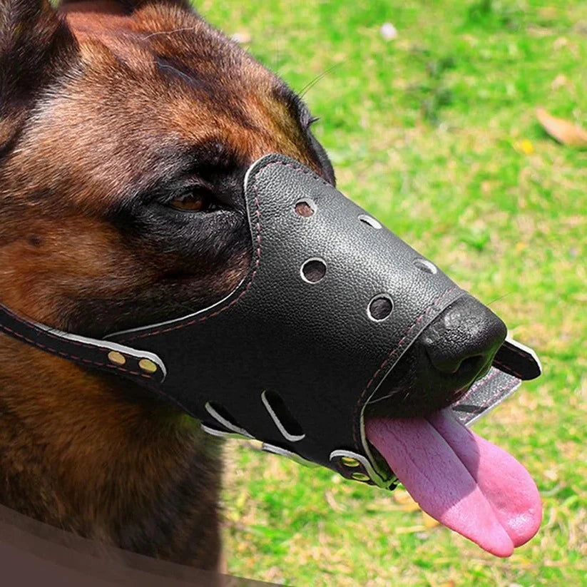 Dog Muzzle | Breathable Mesh & Leather | Adjustable Buckle