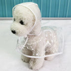 Dog Rain Jacket | Transparent Waterproof & Windproof | Adjustable Belly Strap