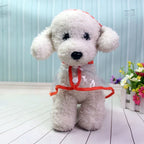 Dog Rain Jacket | Transparent Waterproof & Windproof | Adjustable Belly Strap