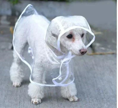Dog Rain Jacket | Transparent Waterproof & Windproof | Adjustable Belly Strap
