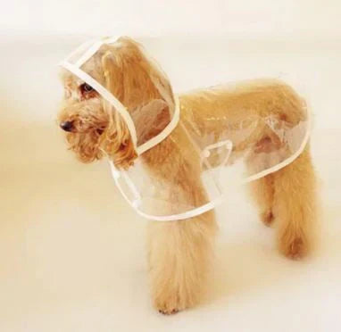 Dog Rain Jacket | Transparent Waterproof & Windproof | Adjustable Belly Strap