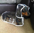 Dog Rain Jacket | Transparent Waterproof & Windproof | Adjustable Belly Strap