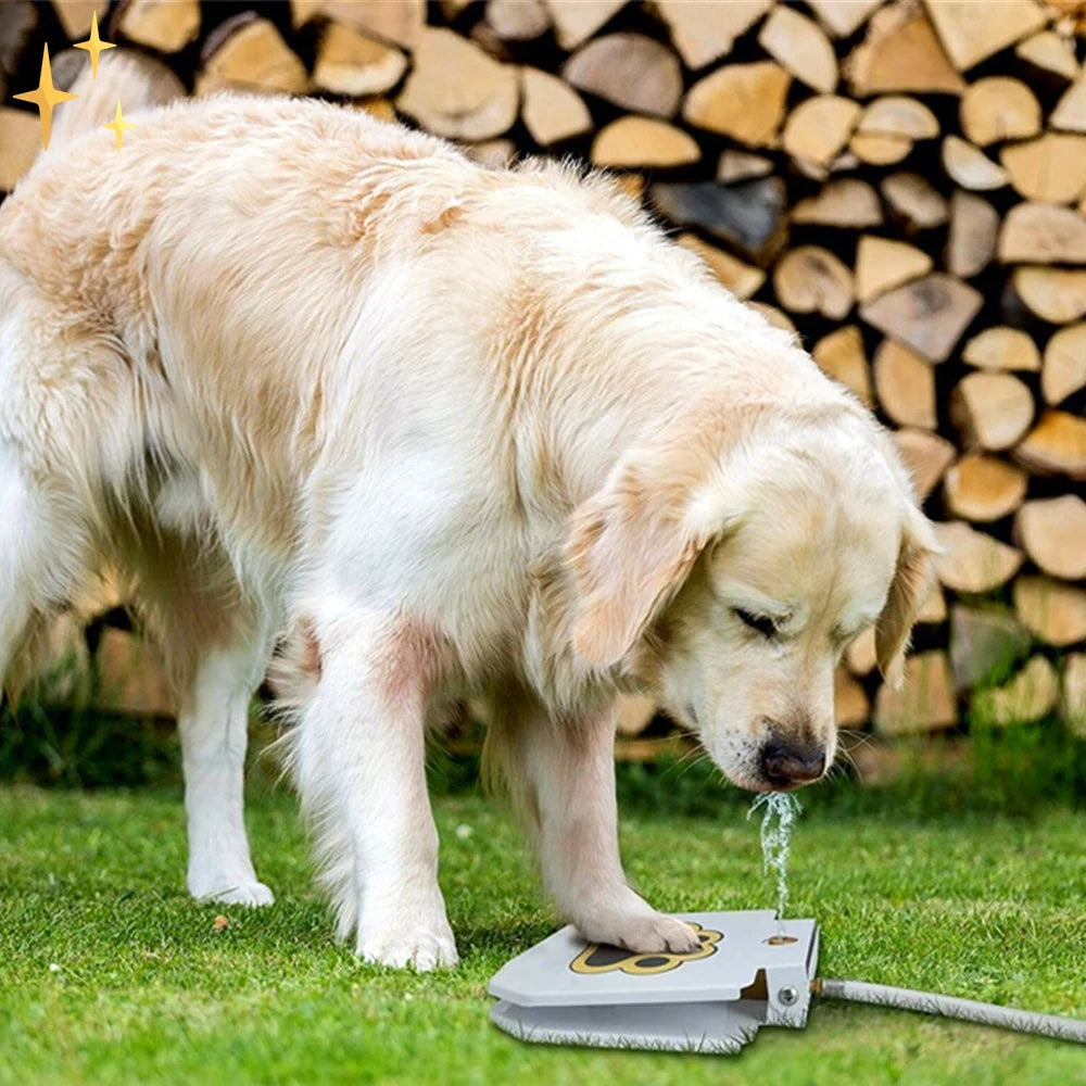 Dog Toy | Paw-Activated Water Fountain | Durable Pet-Safe