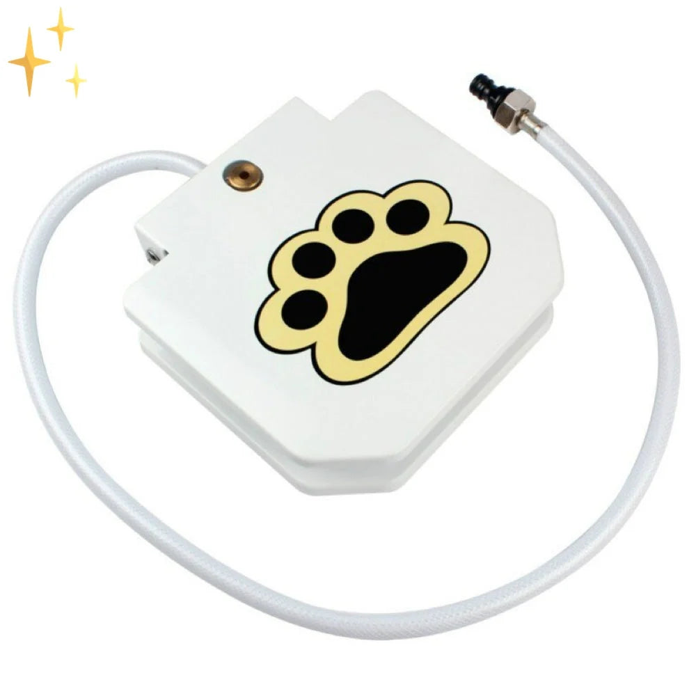 Dog Toy | Paw-Activated Water Fountain | Durable Pet-Safe
