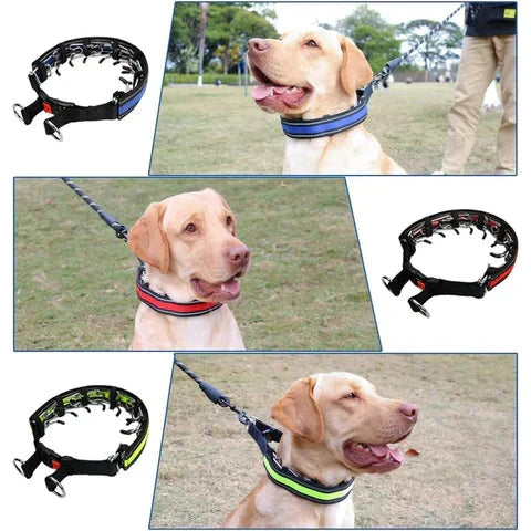 Dog Training Collar | Anti-Pull & Adjustable Fit