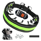 Dog Training Collar | Anti-Pull & Adjustable Fit