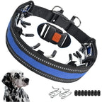Dog Training Collar | Anti-Pull & Adjustable Fit