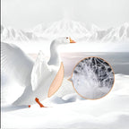 Down Pillow | 100% Goose Down & Ergonomic Neck Support