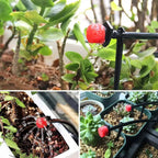 Drip Irrigation Dripper | 360° Adjustable & Water-Saving | Pack of 100
