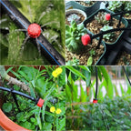 Drip Irrigation Dripper | 360° Adjustable & Water-Saving | Pack of 100