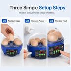 Egg Incubator | USB-Powered Automatic Temperature Control & Even Air Circulation | 4–6 Egg Capacity