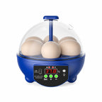 Egg Incubator | USB-Powered Automatic Temperature Control & Even Air Circulation | 4–6 Egg Capacity