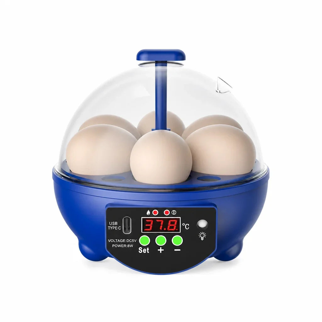 Egg Incubator | USB-Powered Automatic Temperature Control & Even Air Circulation | 4–6 Egg Capacity