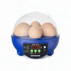 Egg Incubator | USB-Powered Automatic Temperature Control & Even Air Circulation | 4–6 Egg Capacity