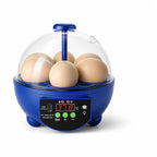 Egg Incubator | USB-Powered Automatic Temperature Control & Even Air Circulation | 4–6 Egg Capacity