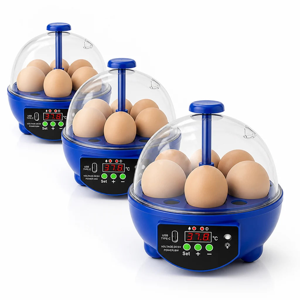 Egg Incubator | USB-Powered Automatic Temperature Control & Even Air Circulation | 4–6 Egg Capacity