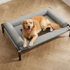 Elevated Dog Bed | Ventilated Mesh & Steel Frame