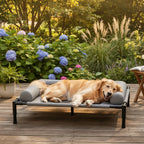 Elevated Dog Bed | Ventilated Mesh & Steel Frame