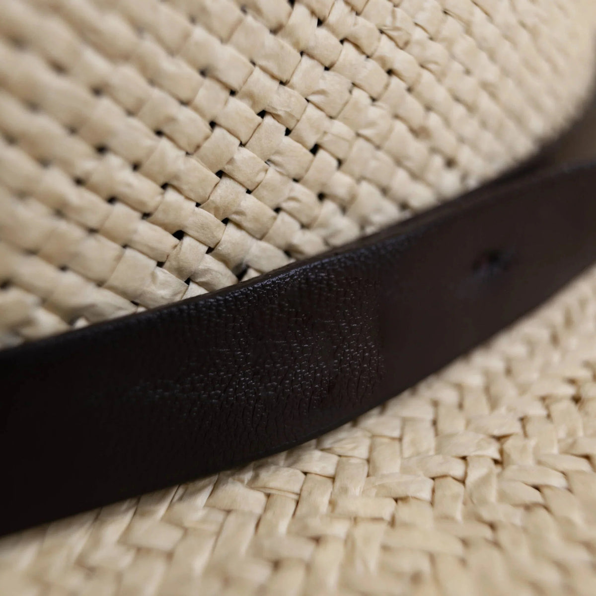 Fedora Hat | Wool Felt Flat Brim & Feathered Braided Band