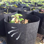 Planting Bag | Breathable Felt & UV-Resistant | Reusable