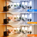 Fireplace Fan | Heat-Powered 4-Blade & Quiet
