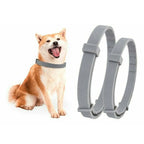 Flea & Tick Collar | Waterproof Silicone & 8-Month Protection | Adjustable