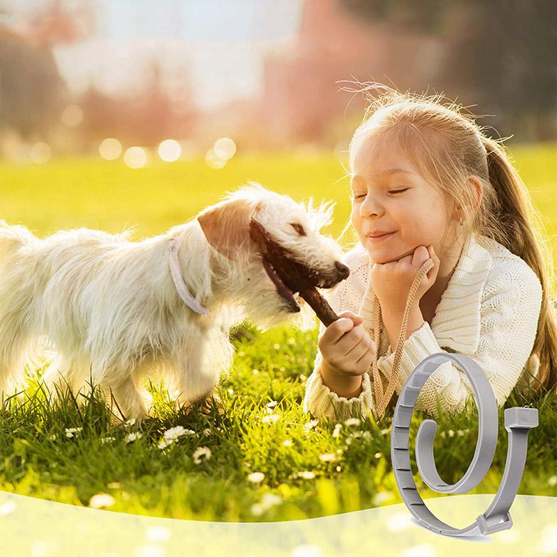 Flea & Tick Collar | Waterproof Silicone & 8-Month Protection | Adjustable