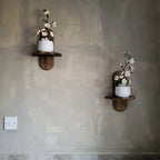 Floating Wall Shelf | Curved Grooved Back & Warm Walnut Finish | Set of 2