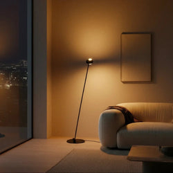 Floor Lamp | Dual-Head & Adjustable Arch | Black Chrome