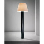 Floor Lamp | Iron Body & Fabric Shade | 170 cm Height