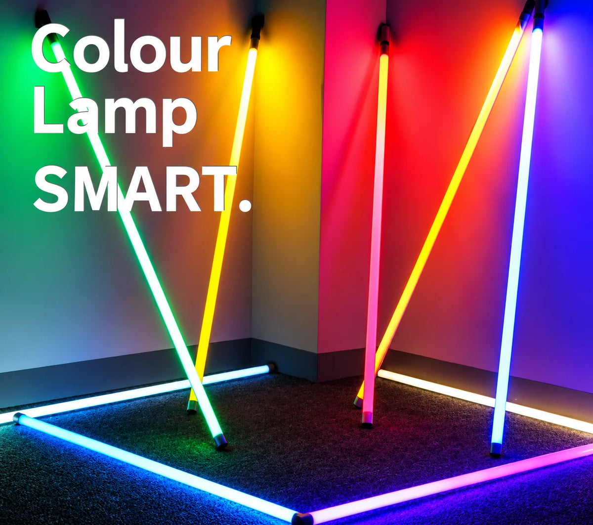 Floor Lamp | Neon Tube LED & USB/Mains Powered | Indoor/Outdoor