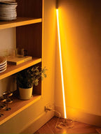 Floor Lamp | Neon Tube LED & USB/Mains Powered | Indoor/Outdoor