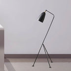 Floor Lamp | Oven-Painted Metal Shade & Foldable Post | 5 Colors