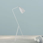 Floor Lamp | Oven-Painted Metal Shade & Foldable Post | 5 Colors