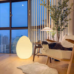 Floor Lamp | Sculptural Egg & Full‑Surface Glow | Three Sizes
