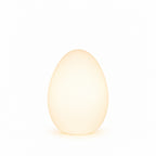 Floor Lamp | Sculptural Egg & Full‑Surface Glow | Three Sizes