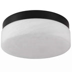Flush Mount Ceiling Light | Integrated LED & 5 Color Temperatures | 12-Inch